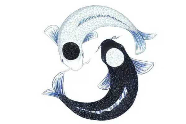 Yin, Yang och Qi